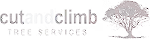 Cut and Climb